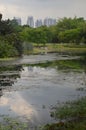 Closer View over a pond at Singapore Botanical Gardens