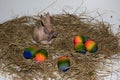 Closer view on a porcelain easter bunny and colorful easter eggs on a hay with copy space Royalty Free Stock Photo