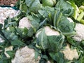 Closes up of Fresh Cauliflower and other vegetables Royalty Free Stock Photo