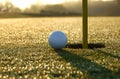 Closest to the pin Royalty Free Stock Photo