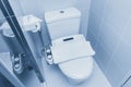 Closet bowl flush toilet with electricity bidet shower Royalty Free Stock Photo