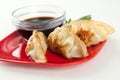 Closeuo of Fried Pot stickers Royalty Free Stock Photo