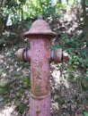 Closeup abandoned fire hydrant deep in the mountains with Chinese characters written on it.