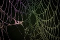 Closeup of an abstract spiderweb with droplets