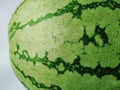 Closeup of Texture and Pattern of Water Melon Fruit Outer Skin