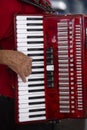 Closeup of accordionist and his instrument