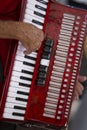 Closeup of accordionist and his instrument