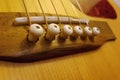 Acoustic Guitar Bridge, pegs, and strings Closeup