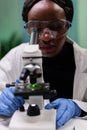 Closeup of african american botanist scientist doctor analyzing green leaf