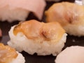 Closeup of Akagai or red clam or bloody clam sushi Royalty Free Stock Photo