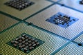 Closeup of aligned CPU Computer Processor. Background Royalty Free Stock Photo