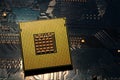 Closeup of aligned CPU Computer Processor. Background Royalty Free Stock Photo