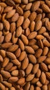 A closeup of packed almond nuts with textured brown shells, showcasing natural beauty Royalty Free Stock Photo