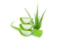 Closeup aloe vera cube gel in wooden isolated on white background, Skin care and spa beauty concept