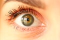 Closeup of amazing female green coloured right eye Royalty Free Stock Photo