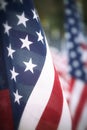 Closeup of an American flag in a row Royalty Free Stock Photo