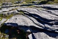 Closeup of ancient bedrock along Killbear\'s Lighthouse Point Trail Royalty Free Stock Photo