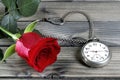 Closeup of an antique pocket watch and a red rose on an antique Royalty Free Stock Photo