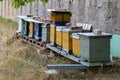 Closeup of apiaries outside by the stone wall