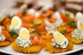 Closeup of appetizers of potato pancakes, eggs and seafood lined up on party table Royalty Free Stock Photo