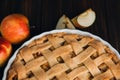 Closeup apple pie in blue form on a dark wooden background. Ready pie