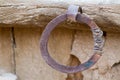 Closeup for arabian iron handle in rusty Eroded wooden door in heritage arab village