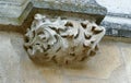 Closeup architectural details of ancient historic castle or chateau in France - plant, leaves, fruits sculptures