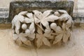 Closeup architectural details of ancient historic castle or chateau in France - plant, leaves, fruits sculptures