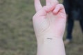 Closeup of the arm with an infinity symbol tattooed in his wrist. infinity sign on the hand. endless love concept Royalty Free Stock Photo