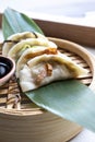 Closeup of an array of Gyozas, a traditional Oriental cuisine dish, looking delicious and inviting