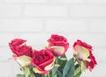 Closeup artificial fabric red rose flower for decorate on white brick wall textured background with copy space Royalty Free Stock Photo