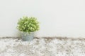 Closeup artificial green plant made from plastic in pot on blurred gray carpet and white cement wall textured background under win