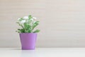 Closeup artificial plant with white flower on purple pot on blurred wooden desk and wall textured background in the meeting room