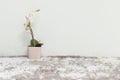 Closeup artificial plant with white orchid flower in pink pot on blurred gray carpet and white cement wall textured background und