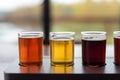 Closeup of artisanal craft beer flight in variety of styles