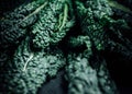 Closeup artistic shot of fresh vibrant green kale leaves