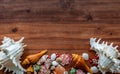 Closeup assorted colorful seashells on wooden texture background