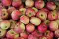 Closeup assortment of fresh, ripe, organic red apples.