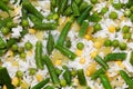 Closeup assortment of frozen colorful mixed vegetables