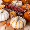 Autumn Still Life of Pumpkins and Corn