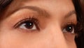 Closeup of attractive woman's brown eyes