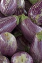 Closeup of aubergine heap