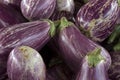 Closeup of aubergine heap