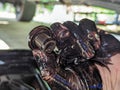 Closeup of auto mechanic with mud on hands changing car oil Royalty Free Stock Photo