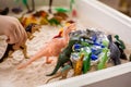 Closeup baby boy hands playing carnivorous and herbivorous dinosaurs with kinetic sand sensory box Royalty Free Stock Photo
