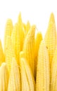 Closeup baby corn isolated on white background Royalty Free Stock Photo