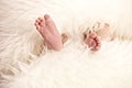 Closeup baby feet Royalty Free Stock Photo