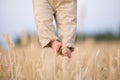 Closeup of baby's bare feet with ears of wheat as background. Man holding little baby in the field on a sunny summer day Royalty Free Stock Photo