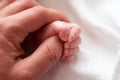 Closeup of a baby`s hand holding father`s finger against white background. Royalty Free Stock Photo