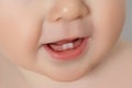 Closeup of a Baby teeth